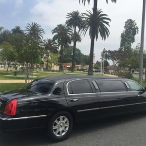 Resort Transportation